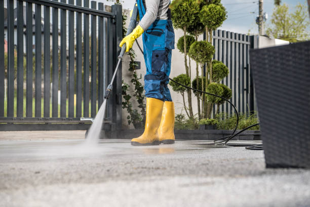 Best Building Exterior Washing  in Conyngham, PA